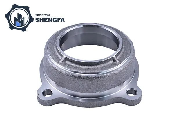 Rear Axle Bearing Housing