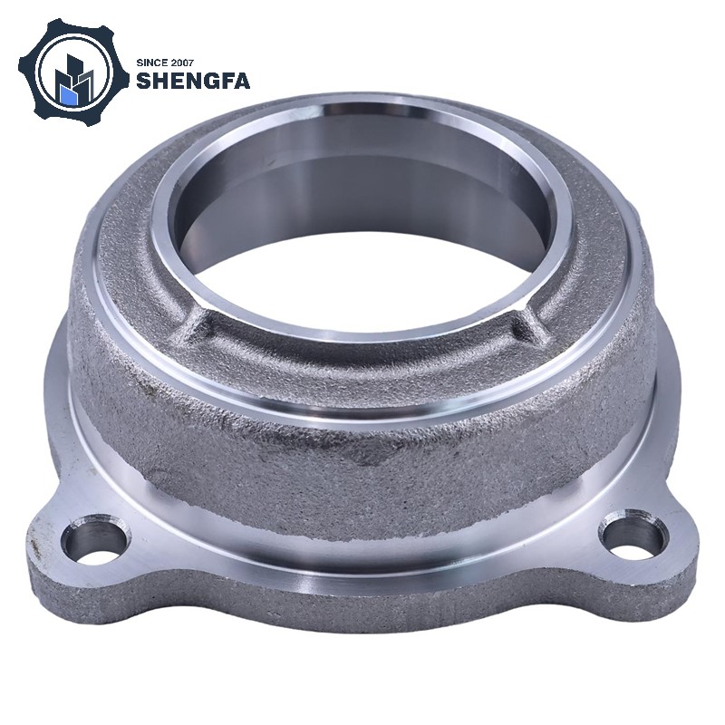Rear Axle Bearing Housing