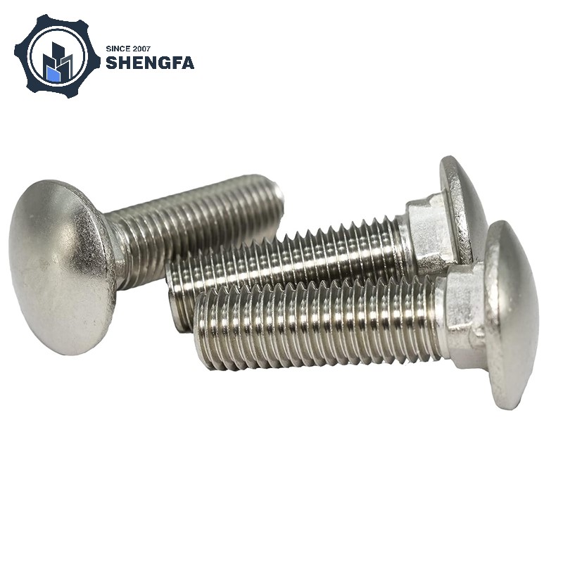 Stainless Steel Carriage Bolt